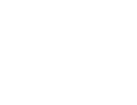 Lisi